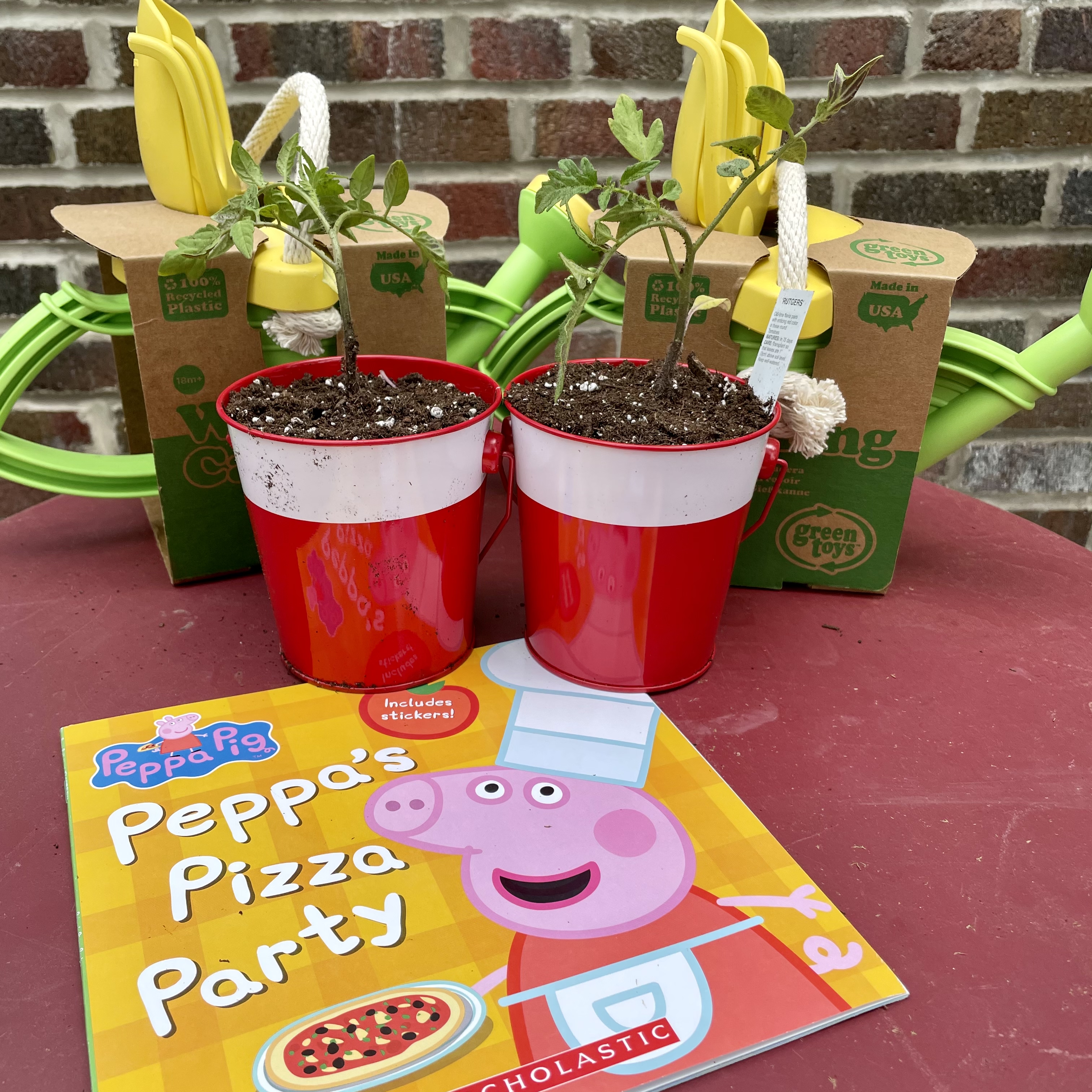 Two small tomato transplants sit next to the book "Peppa's Pizza Party"